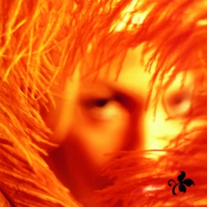 Stone Temple Pilots - Shangri-La Dee Da in der Gruppe VINYL / Pop-Rock bei Bengans Skivbutik AB (3929785)