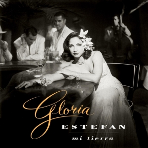Gloria Estefan - Mi Tierra in der Gruppe VINYL / Pop-Rock,Övrigt bei Bengans Skivbutik AB (3930803)
