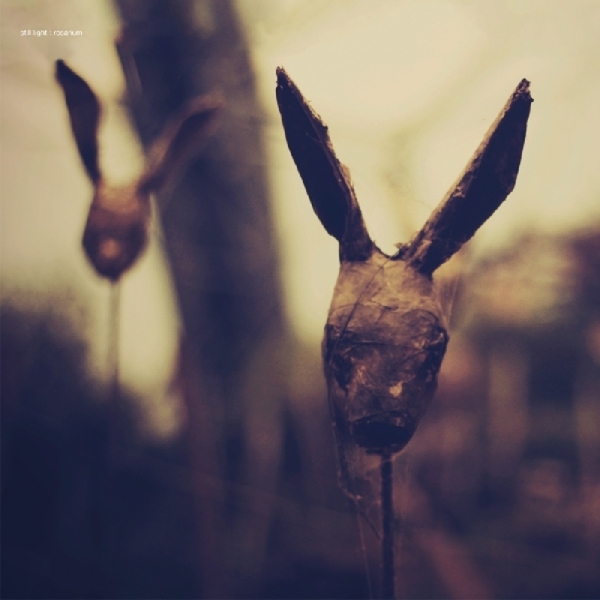 Still Light - Rosarium in der Gruppe CD / Rock bei Bengans Skivbutik AB (3931719)
