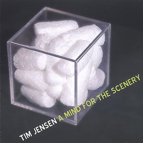 Jensen Tim - Mind For The Scenery in der Gruppe CD / Jazz/Blues bei Bengans Skivbutik AB (3932224)