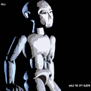 Kalli - While The City Sleeps in der Gruppe CD / Pop-Rock,Övrigt bei Bengans Skivbutik AB (3933979)