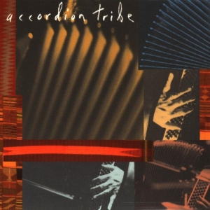 Accordion Tribe - Accordion Tribe in der Gruppe CD bei Bengans Skivbutik AB (3934141)
