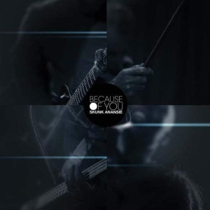 Skunk Anansie - Because Of You in der Gruppe VINYL / Pop-Rock bei Bengans Skivbutik AB (3934717)