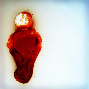 Stubborn Heart - Better Than This in der Gruppe VINYL bei Bengans Skivbutik AB (3934722)