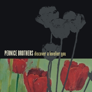 Pernice Brothers - Discover A Lovelier You in der Gruppe CD bei Bengans Skivbutik AB (3934897)
