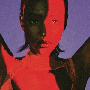 Lous And The Yakuza - Gore in der Gruppe VINYL / Hip Hop-Rap bei Bengans Skivbutik AB (3935726)