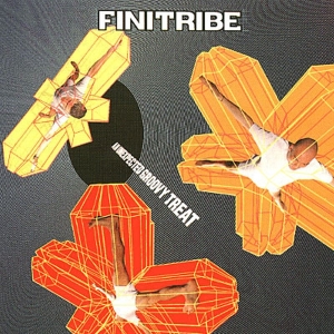 Finitribe - Unexpected Groovy Treat in der Gruppe CD / Dance-Techno bei Bengans Skivbutik AB (3935759)