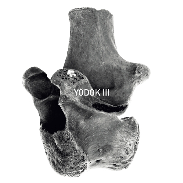 Yodok III - Yodok III in der Gruppe CD / Pop bei Bengans Skivbutik AB (3936723)