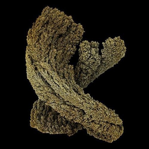 Max Cooper - Emergence -Digi- in der Gruppe CD / Dans/Techno bei Bengans Skivbutik AB (3936850)