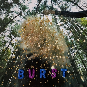Snarls - Burst in der Gruppe CD / Punk bei Bengans Skivbutik AB (3941784)