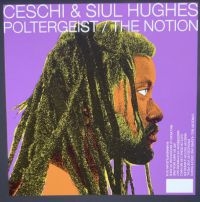 Ceschi And Siul Hughes - Poltergeist / The Notion in der Gruppe Labels / Woah Dad / Dold_tillfall bei Bengans Skivbutik AB (3942316)