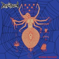Reversed - Widow Recluse in der Gruppe CD / Hårdrock bei Bengans Skivbutik AB (3944213)