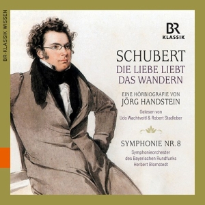 Schubert Franz - Franz Schubert - Die Liebe Liebt Da in der Gruppe Externt_Lager / Naxoslager bei Bengans Skivbutik AB (3949116)