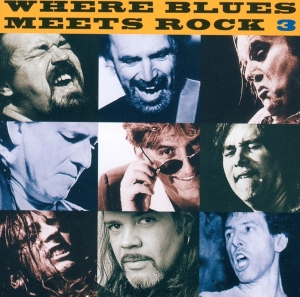 Various - Where Blues Meets Rock 3 in der Gruppe CD bei Bengans Skivbutik AB (3950485)