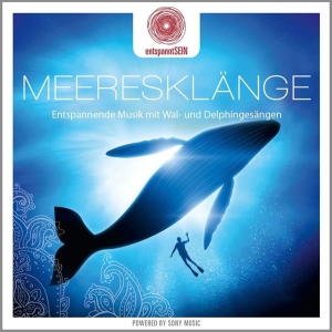 Jones Davy - Entspanntsein - Meeresklänge (Entspannende Musik Mit Wal- Und Delphingesängen) in der Gruppe CD bei Bengans Skivbutik AB (3950957)