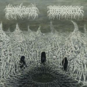Hyperdontia/ Mortiferum - Split in der Gruppe VINYL / Hårdrock/ Heavy metal bei Bengans Skivbutik AB (3951143)