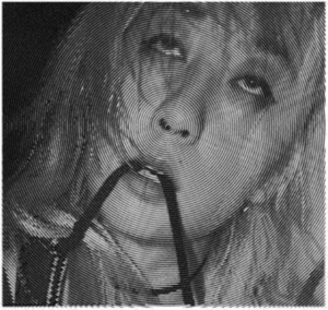 Evicshen - Hair Birth in der Gruppe VINYL / Pop-Rock bei Bengans Skivbutik AB (3951151)