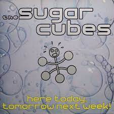 Sugarcubes - Here Today, Tomorrow Next Week! in der Gruppe VINYL / Pop-Rock,Övrigt bei Bengans Skivbutik AB (3951734)
