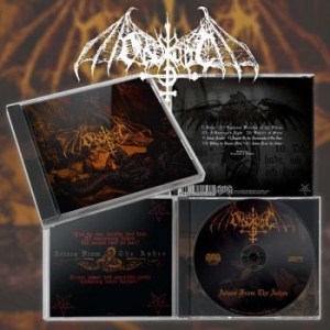 Ondskapt - Arisen From The Ashes in der Gruppe CD bei Bengans Skivbutik AB (3952148)