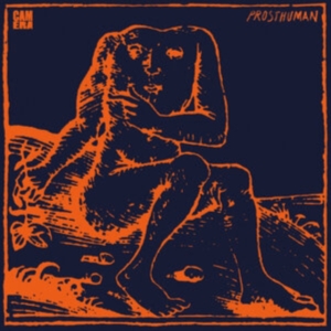 Camera - Prosthuman in der Gruppe VINYL / Pop-Rock bei Bengans Skivbutik AB (3957175)