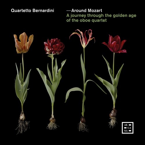 Various - Around Mozart - A Journey Through T in der Gruppe CD / Bestseller bei Bengans Skivbutik AB (3957432)
