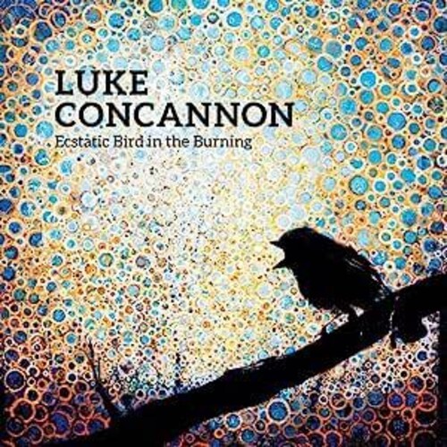 Concannon Luke - Ecstatic Bird In The Burning in der Gruppe CD / Rock bei Bengans Skivbutik AB (3963781)