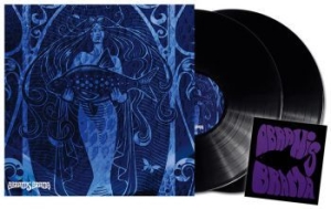 Abramis Brama - Enkel Biljett (2Lp Black) + Patch in der Gruppe VINYL / Hårdrock/ Heavy metal bei Bengans Skivbutik AB (3963797)