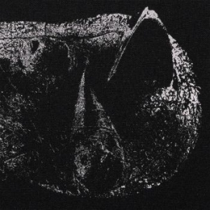 Demon Head - Viscera - Lp in der Gruppe VINYL bei Bengans Skivbutik AB (3965213)