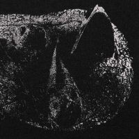 Demon Head - Viscera in der Gruppe CD bei Bengans Skivbutik AB (3965215)