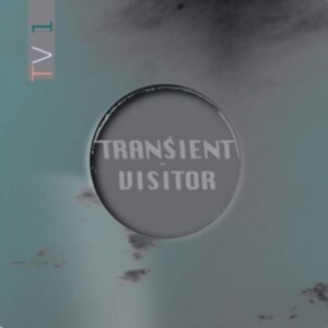Transient Visitor - Tv1 in der Gruppe VINYL / Pop-Rock bei Bengans Skivbutik AB (3965462)