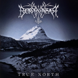 Borknagar - True North in der Gruppe CD bei Bengans Skivbutik AB (3968360)