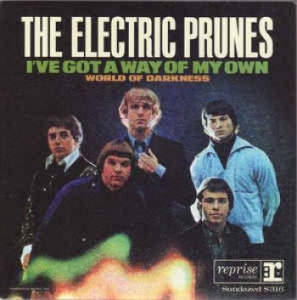 Electric Prunes The - I've Got A Way Of My Own / World Of in der Gruppe VINYL / Pop-Rock bei Bengans Skivbutik AB (3968429)