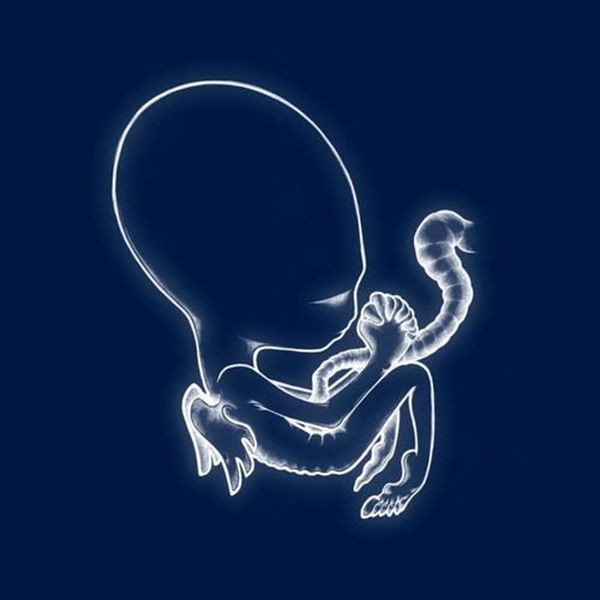 Sigur Rós - Ágætis Byrjun in der Gruppe VINYL / Rock bei Bengans Skivbutik AB (3969034)