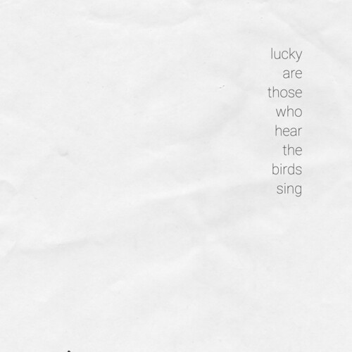 Various Artists - Lucky Are Those Who Hear The Birds in der Gruppe VINYL / Dans/Techno bei Bengans Skivbutik AB (3969802)