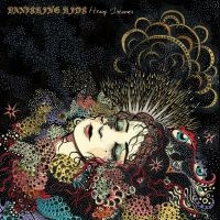 Vaishing Kids - Heavy Dreamer in der Gruppe CD / Pop-Rock bei Bengans Skivbutik AB (3969952)