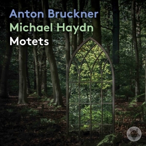 Bruckner Anton Haydn Johann Mich - Motets in der Gruppe MUSIK / SACD / Klassiskt bei Bengans Skivbutik AB (3971893)