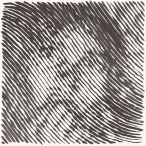 Obiols Arnau & Kayyak - Chang'an Ep (Rmx By Kalabrese Mlir) in der Gruppe VINYL / Pop-Rock bei Bengans Skivbutik AB (3973815)