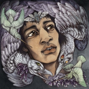 Various Artists - Best Of James Marshall Hendrix (Red in der Gruppe CD / Hårdrock bei Bengans Skivbutik AB (3976390)