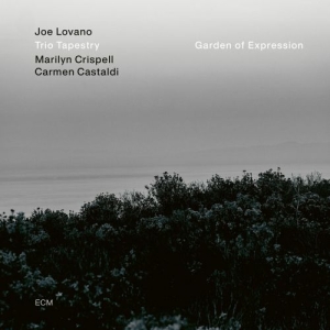 Joe Lovano Trio Tapestry - Garden Of Expression (Vinyl) in der Gruppe VINYL / Jazz bei Bengans Skivbutik AB (3976780)