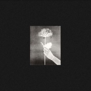 White Flowers - Day By Day in der Gruppe CD / Rock bei Bengans Skivbutik AB (3977680)