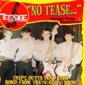 Various Artists - Teenage Shut Down - No Tease in der Gruppe CD / Pop-Rock bei Bengans Skivbutik AB (3977712)