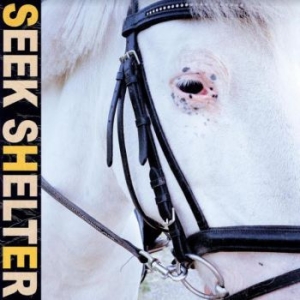 Iceage - Seek Shelter in der Gruppe VINYL / Vinyl Punk bei Bengans Skivbutik AB (3978445)