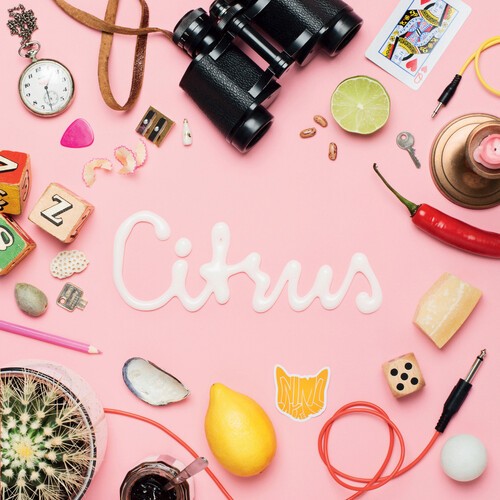 Animal Daydream - Citrus Ep in der Gruppe VINYL / Rock bei Bengans Skivbutik AB (3979456)