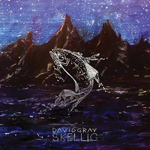 Gray David - Skellig in der Gruppe VINYL bei Bengans Skivbutik AB (3979523)