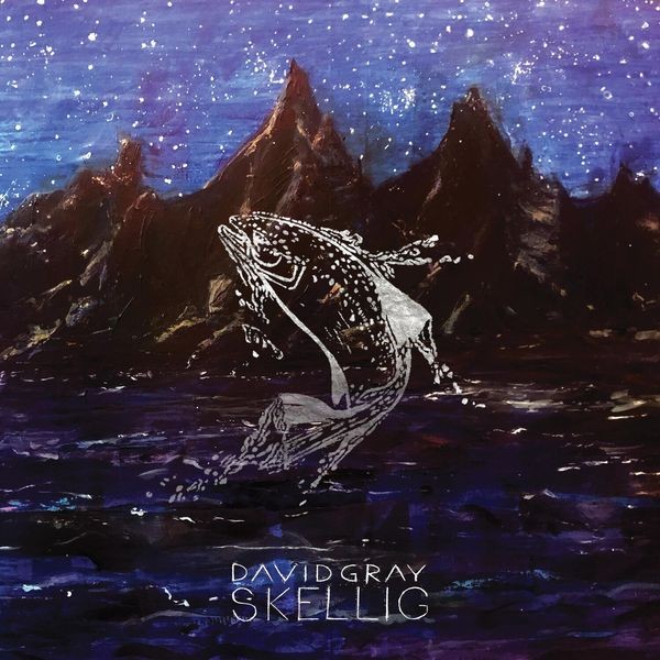 David Gray - Skellig in der Gruppe VINYL / Rock bei Bengans Skivbutik AB (3979523)