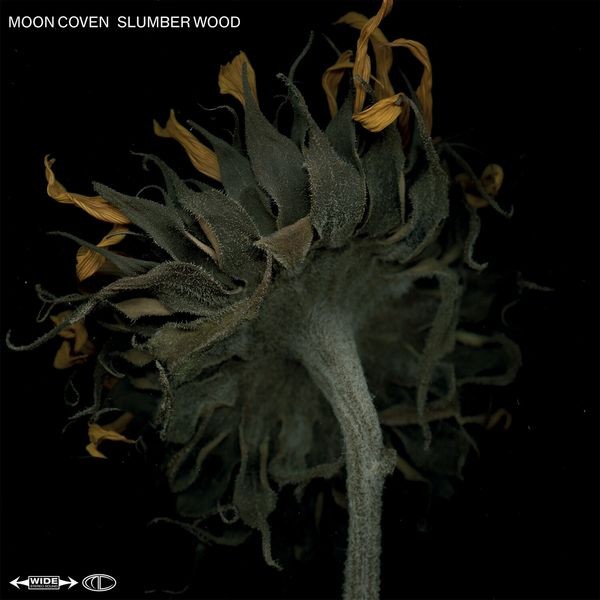 Moon Coven - Slumber Wood in der Gruppe VINYL / Hårdrock/ Heavy metal bei Bengans Skivbutik AB (3979563)