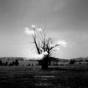 Nagaya Kazuya - Dream Interpretation (The Remixes) in der Gruppe VINYL / Pop-Rock bei Bengans Skivbutik AB (3979587)