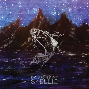 Gray David - Skellig in der Gruppe CD bei Bengans Skivbutik AB (3979679)