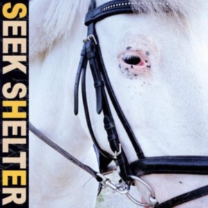 Iceage - Seek Shelter in der Gruppe CD / Pop-Rock bei Bengans Skivbutik AB (3979684)