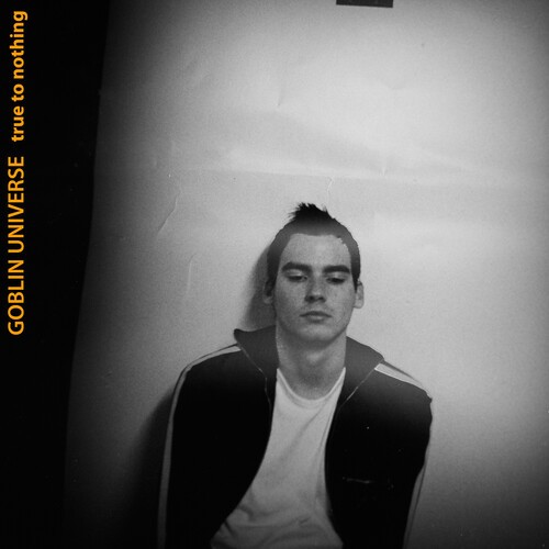 Goblin Universe - True To Nothing in der Gruppe CD / Rock bei Bengans Skivbutik AB (3979707)